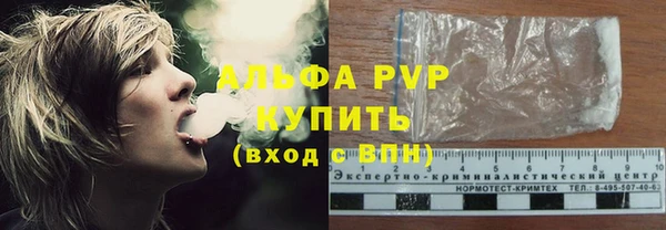шишки Горно-Алтайск