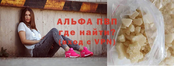 шишки Горно-Алтайск