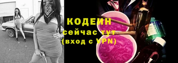 a pvp Горняк
