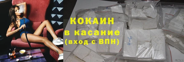 шишки Горно-Алтайск