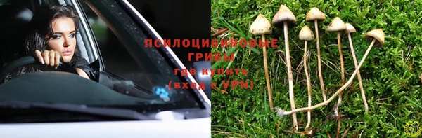 шишки Горно-Алтайск