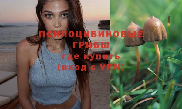 шишки Горно-Алтайск