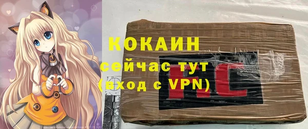 шишки Горно-Алтайск