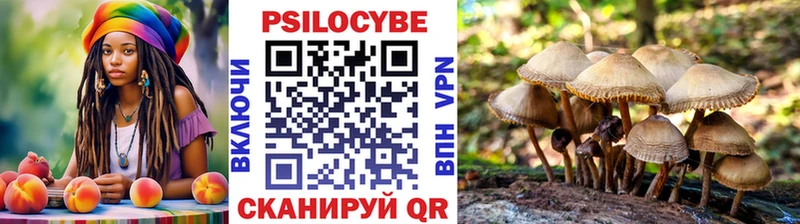 Галлюциногенные грибы Magic Shrooms купить Дубовка